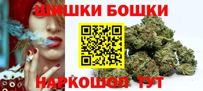 МДПВ Канаш