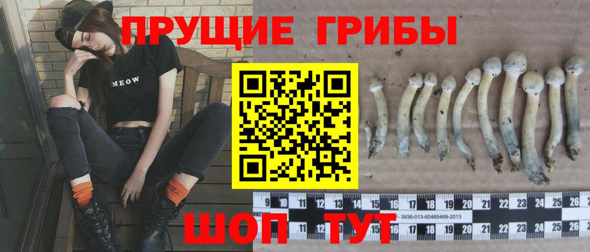 Коряжма  Псилоцибиновые грибы Cubensis  Вход с VPN  Галлюциногенные грибы Cubensis 