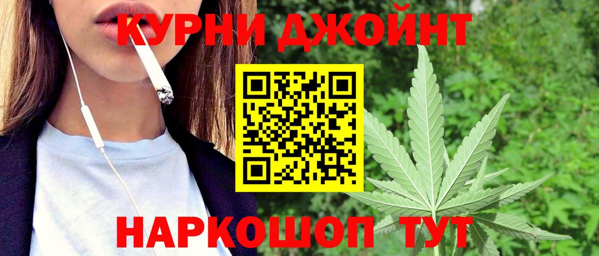 Бошки Шишки сатива Коряжма
